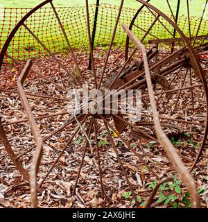 Nahaufnahme alter verrosteter Wagenräder auf einem Bett aus getrockneten braunen Blättern Stockfoto