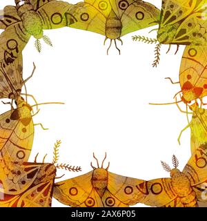 Aquarell farbenfroher Rahmen handgezeichnete Tintenfalter. Vorlagenframework Stockfoto