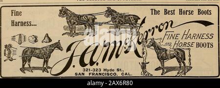 Züchter und Sportler . C. F. MOREL, Nachfolger von J. Okane Co... San Francisco, Cnl. W. A. Sayre Sacramento, Cal. Miller t& Patterson San Diego, Cal. J. G. Lesen SIE A: RO. Otrdca. Utah .Jublnvllle & Nance Bntte, Mont. A. Kraft Co. Spokane, Waih. TIKIH. Schlecht. Henderson Seattle, Washington C. Rodder Stockton, Kalifornien Wm. E. Detels Pleasanton, Cal. V. Koch . San Jose, CAL Key * Tone Bros San Francisco, Cal. Fred Reedy. . Fresno, Kal. Jno. McKerron San Francisco, Kalifornien Jos. McTlgrue San Francisco, Cal. Brytlon Bros Los Angrlea, Cal. Juni 1906 nach dem Lebensmittel- und Drossgesetz garantiert. Seriennummer 12 Stockfoto