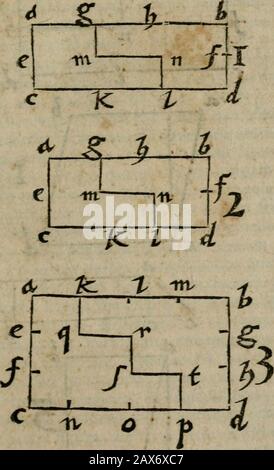 De rerum varietate, libri XVII. R ":&lt; LIB. XIII KAPPE. LXIII. 4h I1V tt f 4 7C H -i. Stockfoto