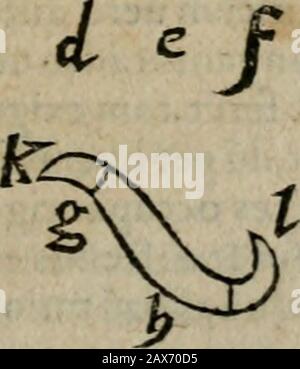 De rerum varietate, libri XVII. Ludicrum jseamdum. &&lt; b C FA " 1 Ll * •1. Lttdicrum tertium. Stockfoto