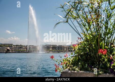 Genfersee mit Springbrunnen Stockfoto