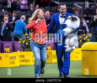 New York, USA. Februar 2020. Der Handler und Mitbesitzer Tyler Crady hält Conrad den Shetland-Sheepdog, wie seine Mutter Erin Tyler erreicht, um ihn zu beglückwünschen, nachdem sie die Herding-Gruppe auf der 144. Westminster Kennel Club Dog Show im Madison Square Garden der Stadt New York gewonnen hat. Conrads formaler Wettbewerbsname ist Syringa-Akadia The Corsair. Kredit: Enrique Shore/Alamy Live News Stockfoto