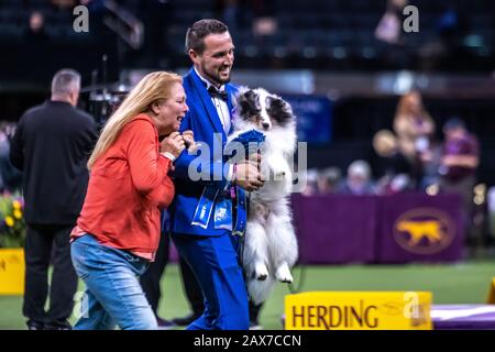 New York, USA. Februar 2020. Der Handler und Mitbesitzer Tyler Crady hält Conrad den Shetland-Sheepdog, wie seine Mutter Erin Tyler erreicht, um ihn zu beglückwünschen, nachdem sie die Herding-Gruppe auf der 144. Westminster Kennel Club Dog Show im Madison Square Garden der Stadt New York gewonnen hat. Conrads formaler Wettbewerbsname ist Syringa-Akadia The Corsair. Kredit: Enrique Shore/Alamy Live News Stockfoto