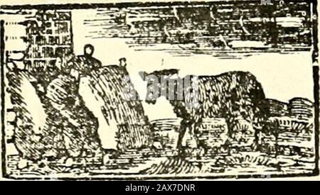 Die Boyd Smith Mother Goose . Entlang des Taurschweins oder eines Fhorttaud-Schweins Oder eines Schweins ohne Tail •, EINES Sow-Schweins oder eines Wildschweins oder eines Schweins mit einem Lockenstab.Hold den Schwanz und Esst seinen Kopf; Und dann wird youll den Schweinehund tot anlocken. Cesars 58 Mother COOSEs Melody, CiESARA SONC. Bogen, Wow, Wow, Whofe Dog Art thou?Little Tom Tinker^DogyJBow, Wow, Wow. TM Tinkcrt Dog ist ein sehr guter Dog, andan. Hontiter Dog thali his * Maftert BAH, Mother GOOSES Melody. 59 60 Mutter gooses Melodie. Stockfoto