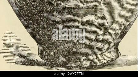 Ilios; die Stadt und das Land der TrojansDie Ergebnisse von Forschungen und Entdeckungen auf dem Gelände von Troja und in der ganzen Straße in den Jahren 1871-72-73-78-79, einschließlich einer Autobiografie des Autors . Stockfoto