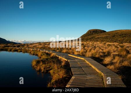 Goldener Sonnenaufgang an der Promenade rund um Pouakai Tarns im Egmont-Nationalpark Stockfoto