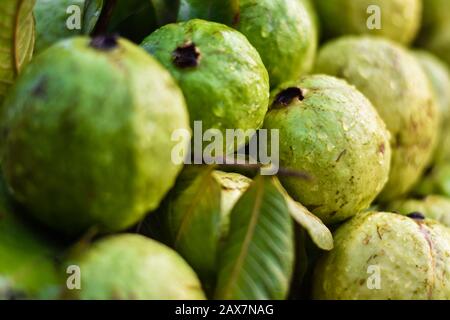 Indische frische Guava-Früchte auf einem Markt für Straßenfrüchte Stockfoto