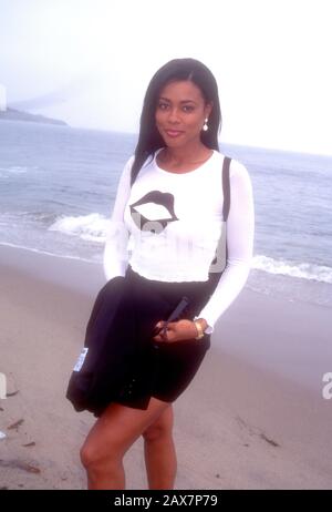 Malibu, Kalifornien, USA 7. Juli 1995 Schauspielerin Lela Rochon besucht die "Clueless"-Premiere am 7. Juli 1995 in Leo Carrillo Beach in Malibu, Kalifornien, USA. Foto von Barry King/Alamy Stock Photo Stockfoto