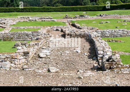 Überreste der römischen Garnisonsstadt bei Corbridge, Northumberland, England, Stockfoto