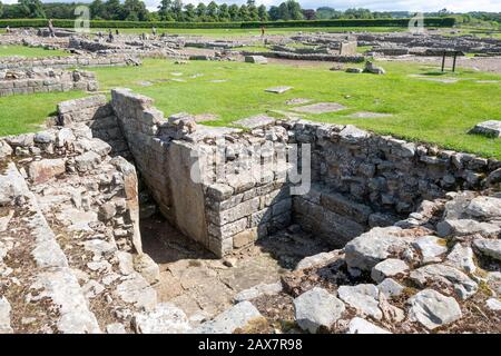 Überreste der römischen Garnisonsstadt bei Corbridge, Northumberland, England, Stockfoto