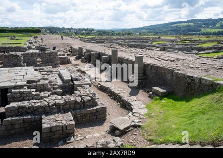 Überreste der römischen Garnisonsstadt bei Corbridge, Northumberland, England, Stockfoto