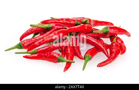 Rote Chilischoten isoliert auf weißem Hintergrund Stockfoto
