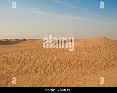 Wüste Dünen, Margham. Dubai, Vereinigte Arabische Emirate Stockfoto