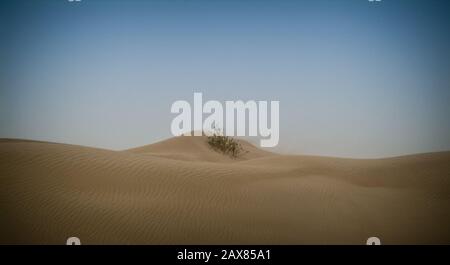 Wüste Dünen, Margham. Dubai, Vereinigte Arabische Emirate Stockfoto