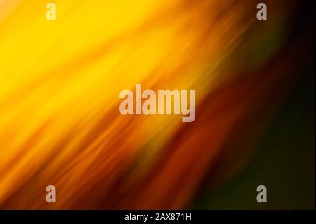Gelber und roter abstrakter Hintergrund verschwommener Linien Stockfoto