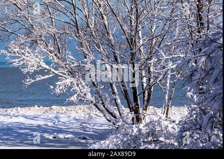 Das Ufer des Michigansee bedeckt Neuschnee Stockfoto