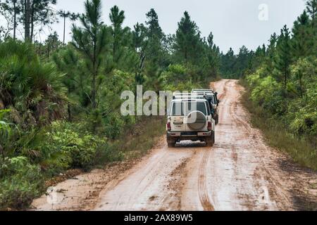 Fahrzeuge auf der schlammigen Chiquibul Road im Mountain Pine Ridge Forest Reserve, die in Regen nach Caracol, Maya Ruins, Cayo District, Belize, Mittelamerika fahren Stockfoto