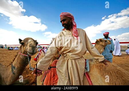 Kamelrennen in Dubai, VAE. Stockfoto