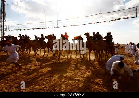 Kamelrennen in Dubai, VAE. Stockfoto