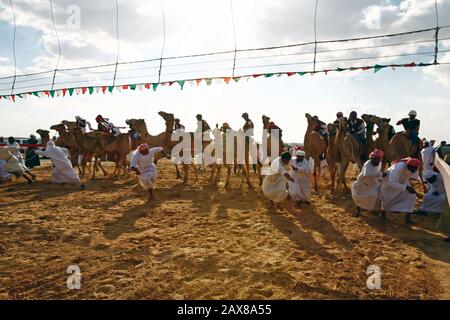 Kamelrennen in Dubai, VAE. Stockfoto