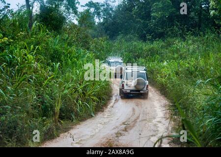 Fahrzeuge auf der schlammigen Chiquibul Road im Mountain Pine Ridge Forest Reserve, die in Regen nach Caracol, Maya Ruins, Cayo District, Belize, Mittelamerika fahren Stockfoto