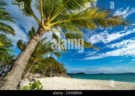 Bananeninsel in Coron, Philippinen Stockfoto