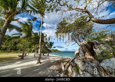 Bananeninsel in Coron, Philippinen Stockfoto