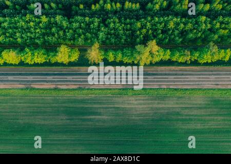 Luftbild - eine direkte Autobahn auf einem Feld mit einer Hecke auf der Seite des Sommerwaldes Stockfoto