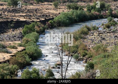 Der letzte Stech des Jordanflusses, bevor er in den See von Galiläa im Norden Israels eindringt Stockfoto