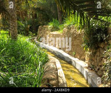 Oase Wadi Bani Khalid mit Kanal und Palmen im Oman Stockfoto