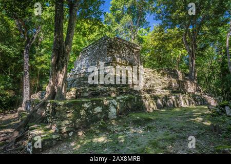 Estructura 9K-1 (Templo 8) in den Ruinen von Chunyaxche (Muyil) Maya, Regenwald in der Nähe von Tulum, Yucatan-Halbinsel, Quintana Roo State, Mexiko Stockfoto