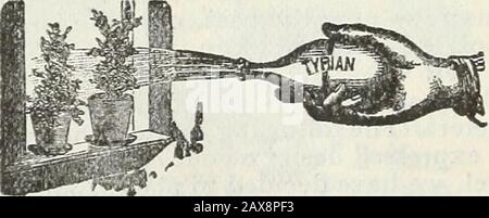 Stecklers Saatkatalog und Gartenhandbuch für die Südstaaten : 1902 . Zierpfannen Komplett für Mittenabendessen TAFELGARTEN HANDBUCH FÜR DIE SÜDSTAATEN. Stockfoto