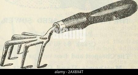 Stecklers Saatkatalog und Gartenhandbuch für die Südstaaten : 1902 . LANGSEEDE TOOL//( Deerd. 30^ BrMAiL PrePaib. Exeelsior Weeding Hoe, 15 c Unser Motto: Nicht wie Billig, aber wie Gut, GARTENHANDBUCH FÜR DIE SÜDSTAATEN. 163 Stockfoto