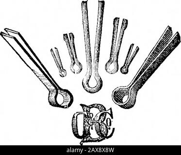 Wissenschaftlicher Amerikanischer Band 31 Nummer 14 (Oktober 1874) . EORGE BARNES & CO. Hersteller. Syracuse, N. Y. ^ .2 U3 yl M31 Stockfoto