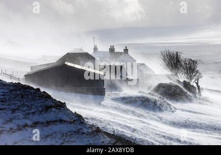 Teesdale, County Durham, Großbritannien. Februar 2020. Wetter in Großbritannien. Mit einer gelben Wetterwarnung, die für Schnee in Kraft ist, erzeugen starke Schneeschauer und starke Winde blizzard-bedingungen in Teesdale, County Durham, North East England. Credit: David Forster/Alamy Live News Stockfoto