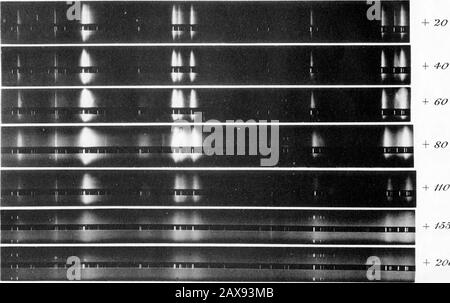 Die Auswirkungen Des Drucks auf Arc SpectraNo5Nickel, 3450 bis 5500 Dollar Lambda, Einschließlich eines Kontos über die Verdrängungsrate mit Wave-Length, des Verhältnisses zwischen Druck und Verdrängung, Des Einflusses der Materialdichte und der Intensität der Spektrallinien auf die Verschiebung und der Auflösung des Nickelspektrums in Gruppen von Linien . Druck inAtmosphären. 10 + 20 4-0. 1S5 200 A//CKE L. Stockfoto