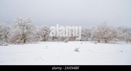 Naturpark Urbasa und Andia, Navarra/Spanien; 15. November 2013. Der erste Schnee der Saison im Naturpark Urbasa und Andia. Stockfoto