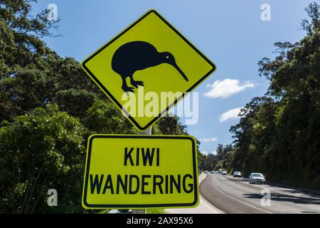 Kiwi Warnung Road Sign, Whakatane, Nordinsel, Neuseeland