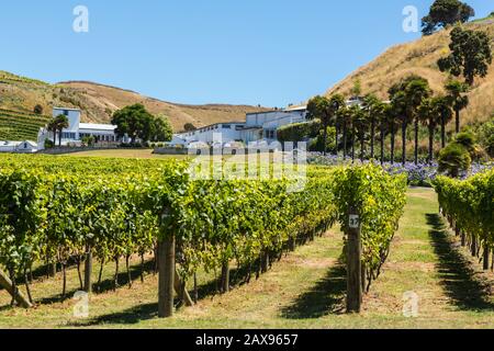 Weingut und Weingut des ESK Valley, Hawkes Bay, Neuseeland Stockfoto