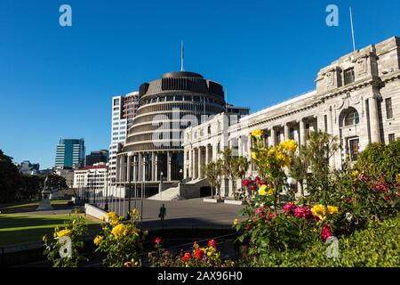 Beehive Parliament Building, Wellington, Neuseeland, Blumen Stockfoto