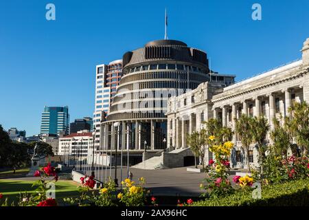 Beehive Parliament Building, Wellington, Neuseeland, Blumen Stockfoto