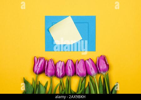 Hintergrund für den Damen: Pinke Tulpen und klebrige Note auf gelbem Hintergrund Stockfoto