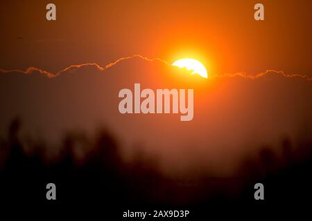 Die Sonne geht auf und erscheint von hinter einer Wolkenschicht mit im Vordergrund liegenden, nicht fokussiert stehenden Bäumen. Stockfoto