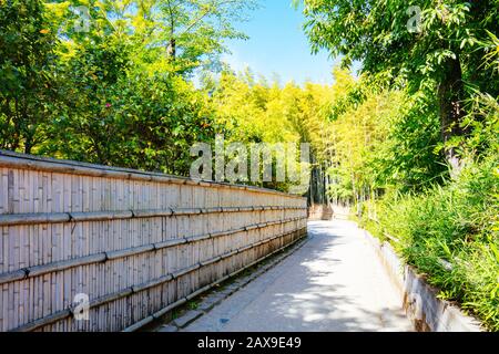 Arashiyama Bamboo Forest im südlichen Kyoto Japan Stockfoto