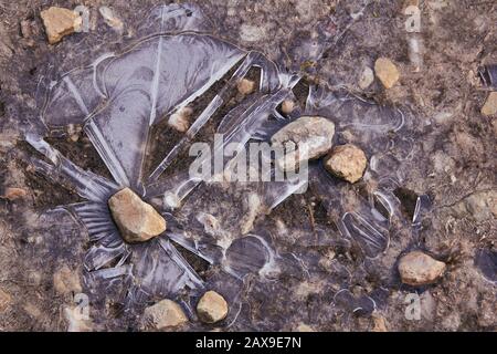 Steine im Eis am frühen Frühling an einem sonnigen Morgen. Natürlicher Hintergrund Stockfoto