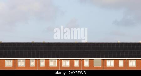 Reihe neuer holländischer Häuser mit Solarpaneelen Stockfoto