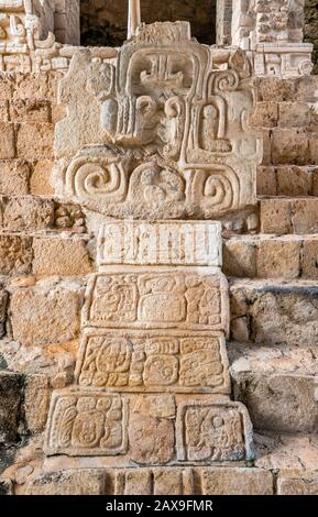 Serpentenkopf mit Maya-Hieroglyphen, niedrige Relieftiefe bei Akropolis-Pyramide in Ek Balam Archeological Area, Yucatan-Staat, Mexiko Stockfoto