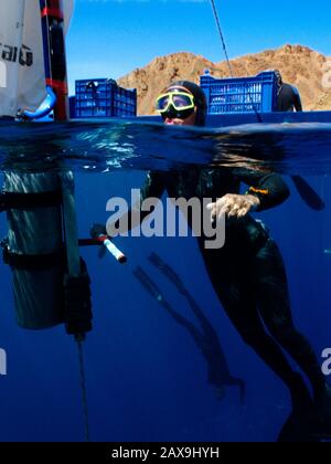 Champion Free Diver Linda Paganelli "atmet auf" - eine Technik, die verwendet wird, um die Atemanhaltezeit unter Wasser zu verlängern - bevor am 8. August 06 ein 90 Meter großer Tauchgang mit variablem Gewicht in Ägyptens Blue Hole Tauchplatz in der Sinai-Wüste aufgenommen wurde. Stockfoto