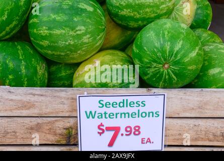 Seedless Wassermelonen in Holzkiste mit Preisschild auf dem Farmer Market in den USA Stockfoto